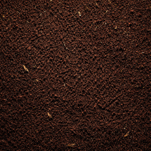 High Grown Assam Blend